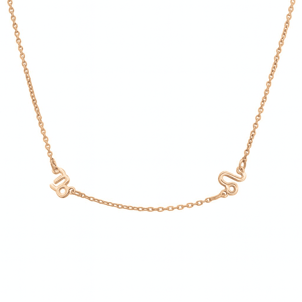 Two Zodiac Signs Necklace